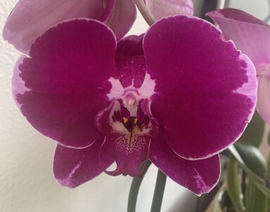 02 February